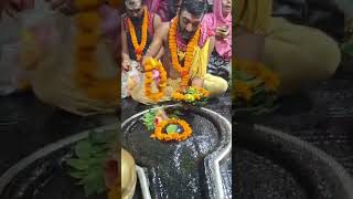 baba baidyanath ki kancha jal puja karte tirth purohit har har mahadev mahadevststus baidhnath [upl. by Sheya]