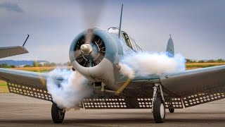 Old RADIAL ENGINES Cold Starting Up and Loud Sound 16 [upl. by Ahsatak]