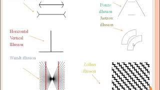 Perceptual processes 5 subliminal perception and illusion [upl. by Rudich]