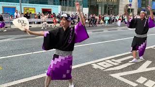 Special performance awa odori nihonbashi festival parade [upl. by Amory]