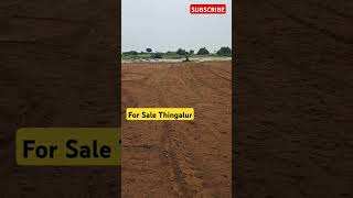 Agriland For Sale Thingalur  For Sale  KMWFarms [upl. by Katz471]