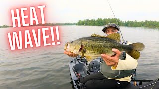 HEAT WAVE  The Ups and Downs of BASS fishing  Stoney Lake Ontario [upl. by Nothgierc]