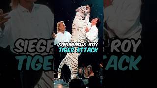 The TRUTH About The Siegfried And Roy Tiger Attack  Joe Rogan [upl. by Arretahs]