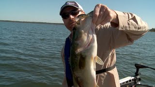 2015 Show 2  Berkley Big Bass on Lake ForkPart 2  Skeeter Bass Champs wFish Fishburne [upl. by Sotnas267]