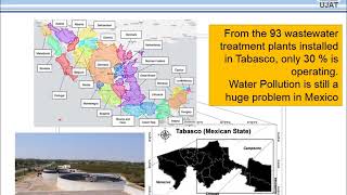 Phytoremediation of wastewater with Thalia Geniculata [upl. by Flatto]