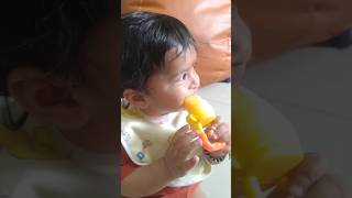 fruit Nibbler 6  month baby food  how to use teether  fruit and juice feeder  pacifier with [upl. by Lonnard]