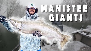 Spring Manistee River Steelhead GIANT FISH near Tippy Dam [upl. by Llehsad]