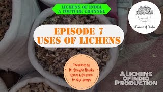 Episode 7 Uses of Lichens [upl. by Stockmon]