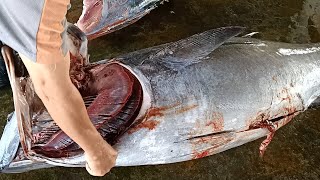 BigEye Tuna Cutting Skills by Top Master [upl. by Cinelli128]