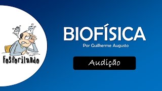 AUDIÇÃO Som  BIOFÍSICA [upl. by Elston]