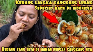 KERANG LANGKA CANGKANG LUNAK PENEMUAN BARU DEDE INOEN [upl. by Brinkema]