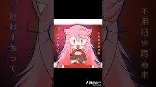 Sonic x Amy yennune0 [upl. by Helban991]