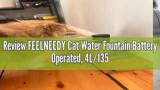 Review FEELNEEDY Cat Water Fountain Battery Operated 4L135 fl oz Pet Water Fountain for Cats and D [upl. by Lemor]