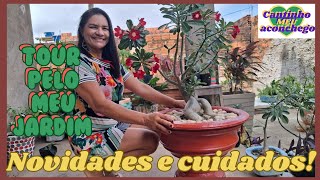 TOUR PELO MEU JARDIM NOVIDADES E CUIDADOS COM AS PLANTAS comocuidar jardim plantas terapia [upl. by Ettessil]