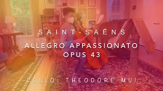 Saint Saëns Allegro Appassionato Op 43 for Cello [upl. by Davidson151]