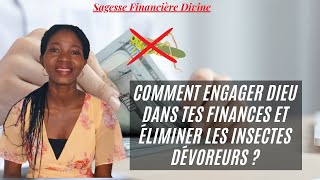 Comment engager Dieu dans tes finances et éliminer les insectes qui dévorent tes finances [upl. by Okihsoy]