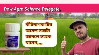 Dow Delegate অসাধারণ কীটনাশক  Krishikaaj Tv  Best Insecticide [upl. by Malcom]