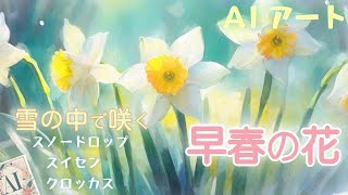 【早春の花】春の訪れを告げる、水仙スノードロップクロッカス〜AdobeFirefly画像生成AI使用 [upl. by Esorlatsyrc17]