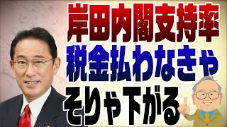 970回 最新の岸田内閣の支持率 [upl. by Kcirrez]