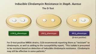 Antibiotic Resistance Antibiotics  Lecture 9 [upl. by Dola]