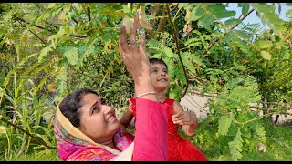 বকফুলের মজার পাকোড়া  Village life with Shampa [upl. by Niltak]