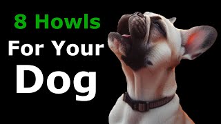 DOG HOWLING to Make Your Dog Howl  8 DOGS HOWLING and Barking Sound Effect [upl. by Seow]