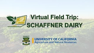 Schaffner Dairy Virtual Field trip [upl. by Fredek768]