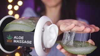 ASMR Aloe Vera Ear Massage❤️ For Sleep amp Relaxation NO TALKING [upl. by Caldera]