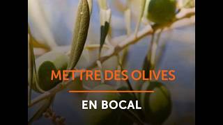 Mettre des olives en bocal [upl. by Oilalue]