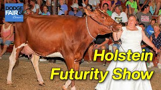 Holstein Futurity Show  2023 Dodge County Fair [upl. by Ainel]