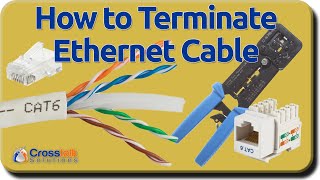 How to Terminate Ethernet Cables [upl. by Rubma]