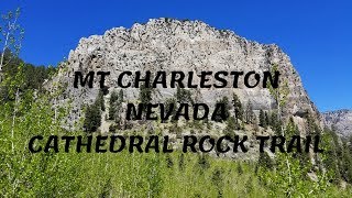 MT CHARLESTON NEVADACATHEDRAL ROCK TRAIL [upl. by Ellicul]