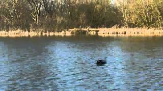 Angling Technics Baitboats Video Microcat Mk III Technicat [upl. by Enelad]