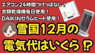 【電気代】24時間エアコンつけっぱなし！衣類乾燥機毎日使用！雪国築古木造アパートの電気代はいくらかかる！？ [upl. by Sardse]