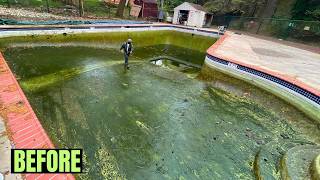 From Murky Waters to Brilliant Blue Pool Transformation Story pressurewashing timelapse [upl. by Ettevroc466]