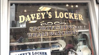 Davey’s locker sportfishing freelance in Newport Beach to Catalina island [upl. by Seton811]