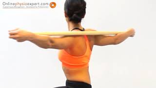 Spine Mobility Exercise In Sitting  Rotations With Stick [upl. by Eiramyelhsa534]