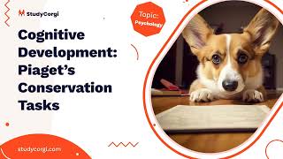 Cognitive Development Piaget’s Conservation Tasks  Research Paper Example [upl. by Elisabet431]