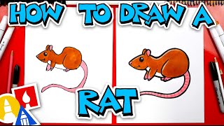 How To Draw A Rat  Year Of The Rat [upl. by Even130]