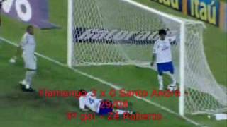 Todos os gols do Flamengo no Brasileirão 2009 Parte 12 [upl. by Reinwald]