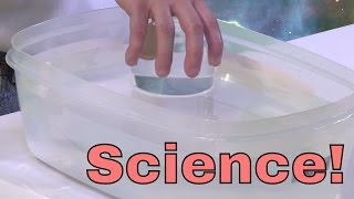 Science Trick  Keep Paper Dry Underwater [upl. by Nilyaj941]