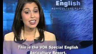 VOA learning English 2015 Part 9Agrculture ReportLuyện Nghe Tiếng Anh Qua Tin Tức VOA [upl. by Enyrhtak]