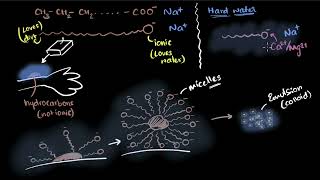 Soaps and detergents  Carbon and its compounds  Class 10 Chemistry  Khan Academy [upl. by Snah281]