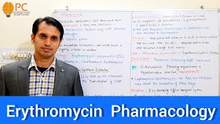 Pharmacology of Erythromycin  Pharmacology of Macrolide Antibiotics [upl. by Tem888]