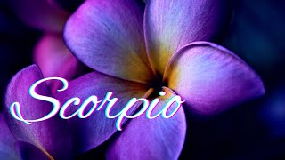 Scorpio🌱You Need To Stop amp Listen Scorpio  Someones Trying To Sabotage This🌱Energy CheckIn [upl. by Elberfeld]