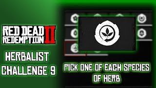 RDR2 Herbalist Challenge 9 Pick One of Each Species of Herb [upl. by Connelley805]