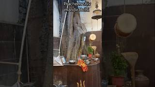 Shiv mandir delhi shiv shivling harharmahadev temple trending shorts devotional darshan [upl. by Ho]