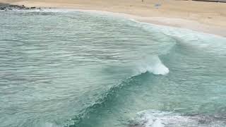 Bronte and Tamarama Surf Check Monday August 12th 2024 900am [upl. by Sumedocin846]