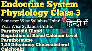 The Endocrine System  Physiology Class 3 BSc NursingNew SyllabusUnit6Old SyllabusUnit10 [upl. by Abroms]