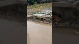 Hard Work With Mini Tool Unclogged Culvert unclog cloggeddrain drain shorts [upl. by Kristel]